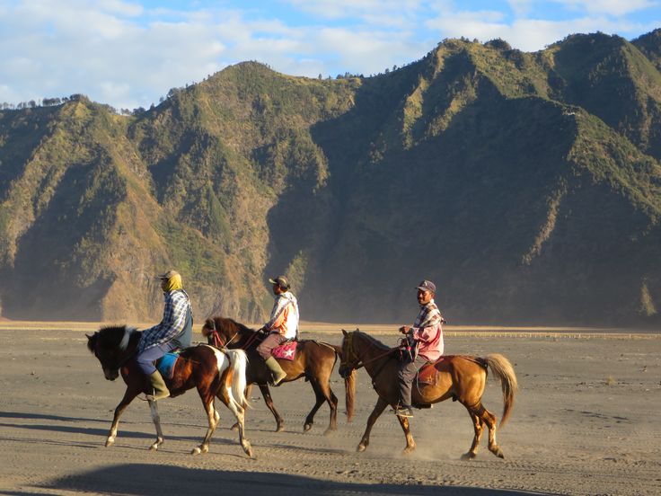 HARI 1 : MALANG - BROMO