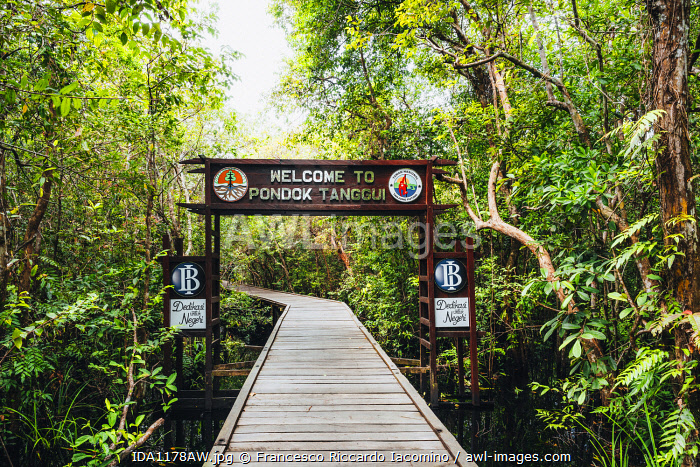 Hari 3 : Perjalanan Kembali - Kumai - Airport/Hotel